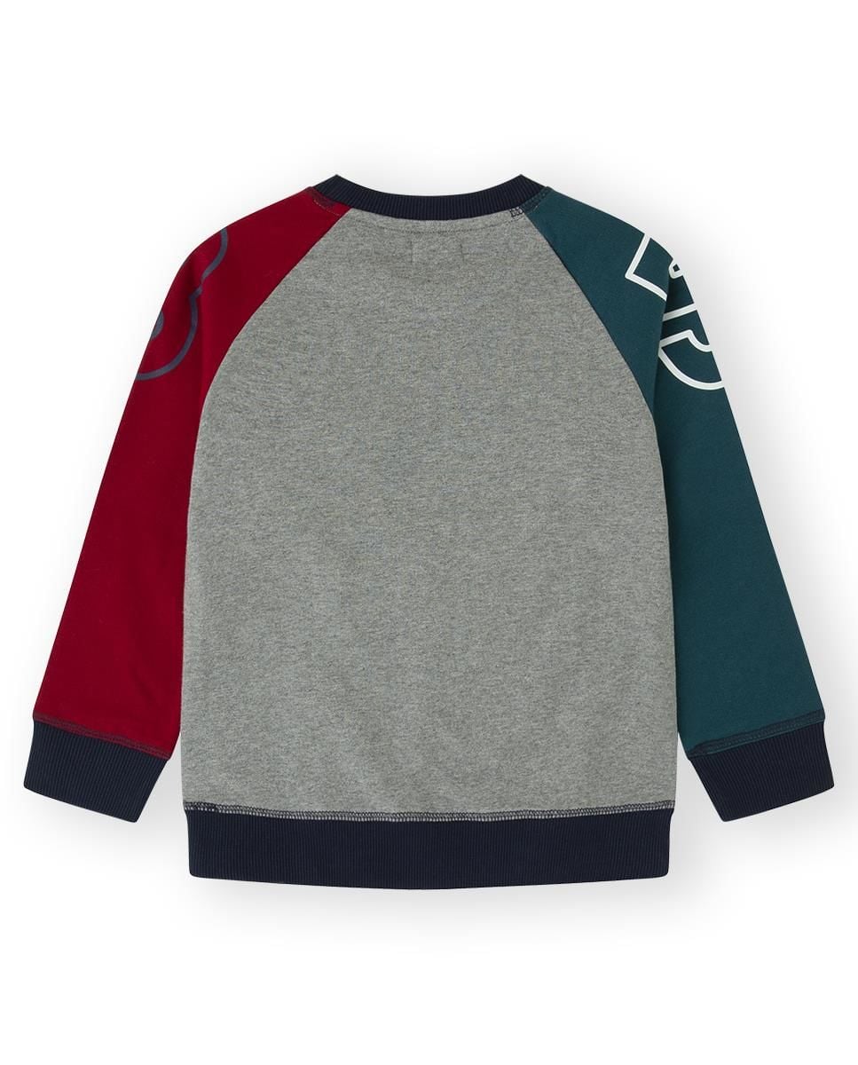 Canada House Colorblock Erkek Çocuk Sweatshirt