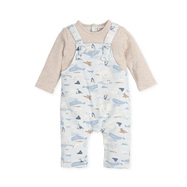 Tutto Piccolo Kutup Temalı Erkek Bebek Salopet Tulum