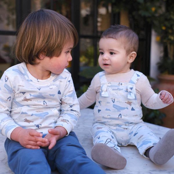 Tutto Piccolo Kutup Temalı Erkek Bebek Salopet Tulum