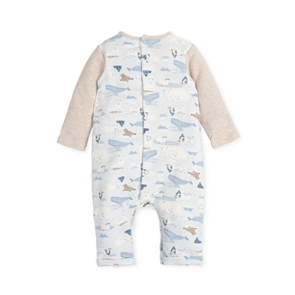 Tutto Piccolo Kutup Temalı Erkek Bebek Salopet Tulum