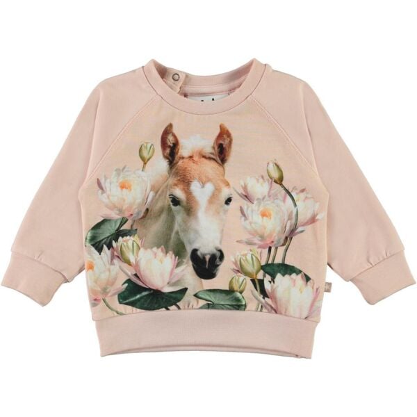At Tema Baskılı Sweatshirt