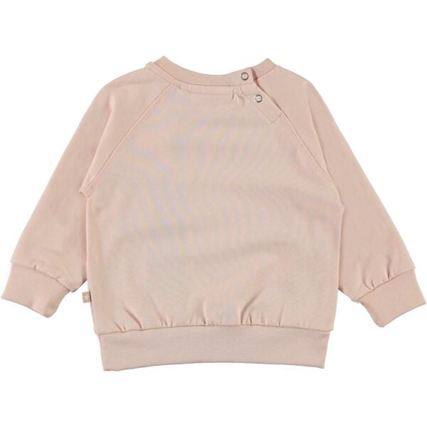 At Tema Baskılı Sweatshirt