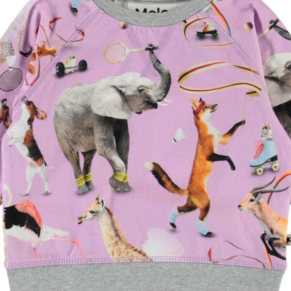 Hayvan Tema Baskılı Kız Bebek Sweatshirt