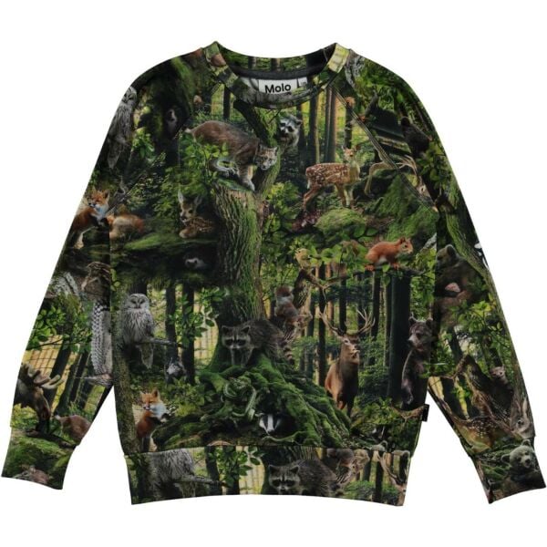Orman Temalı Erkek Çocuk Sweatshirt