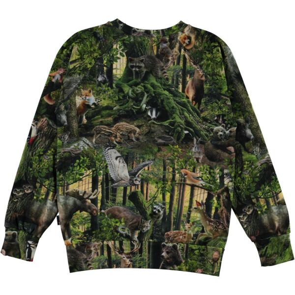 Orman Temalı Erkek Çocuk Sweatshirt