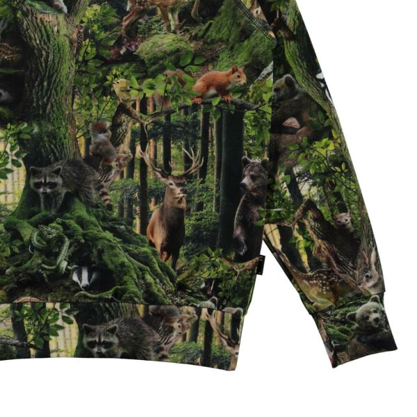 Orman Temalı Erkek Çocuk Sweatshirt