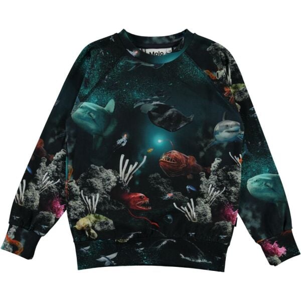 Okyanus Temalı Erkek Çocuk Sweatshirt
