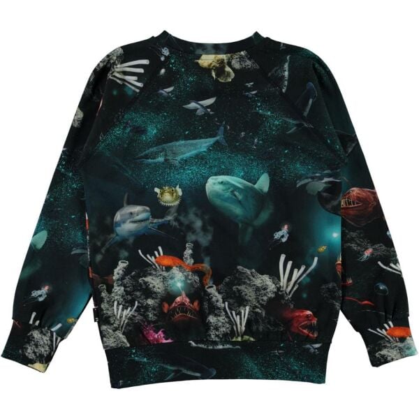 Okyanus Temalı Erkek Çocuk Sweatshirt