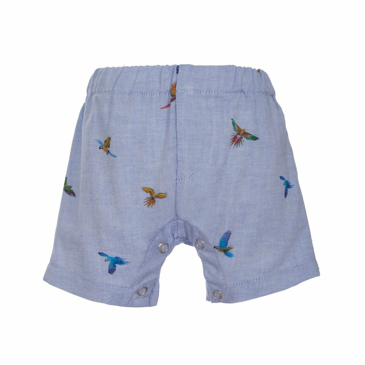 Papağanlı 2li Erkek Bebek T-shirt Şort Set